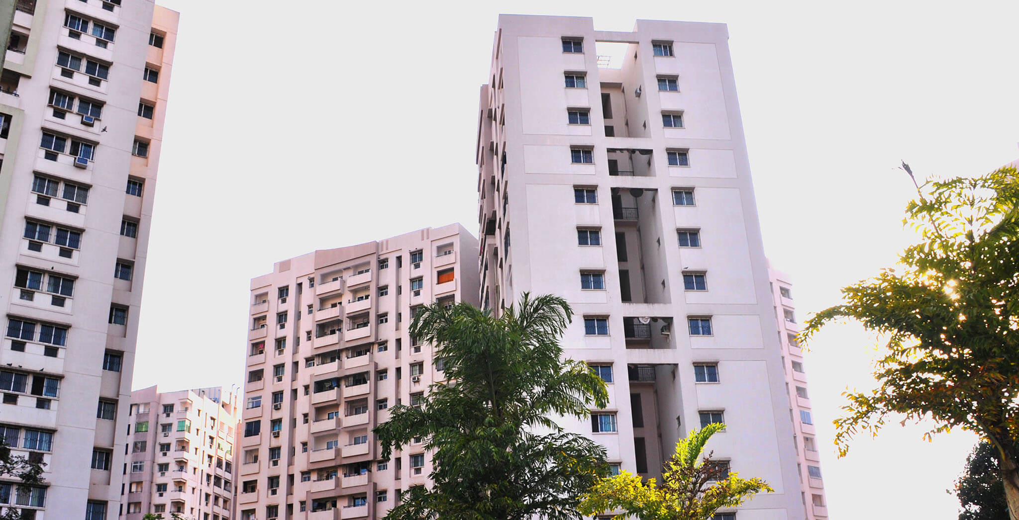 Brigade Gardenia